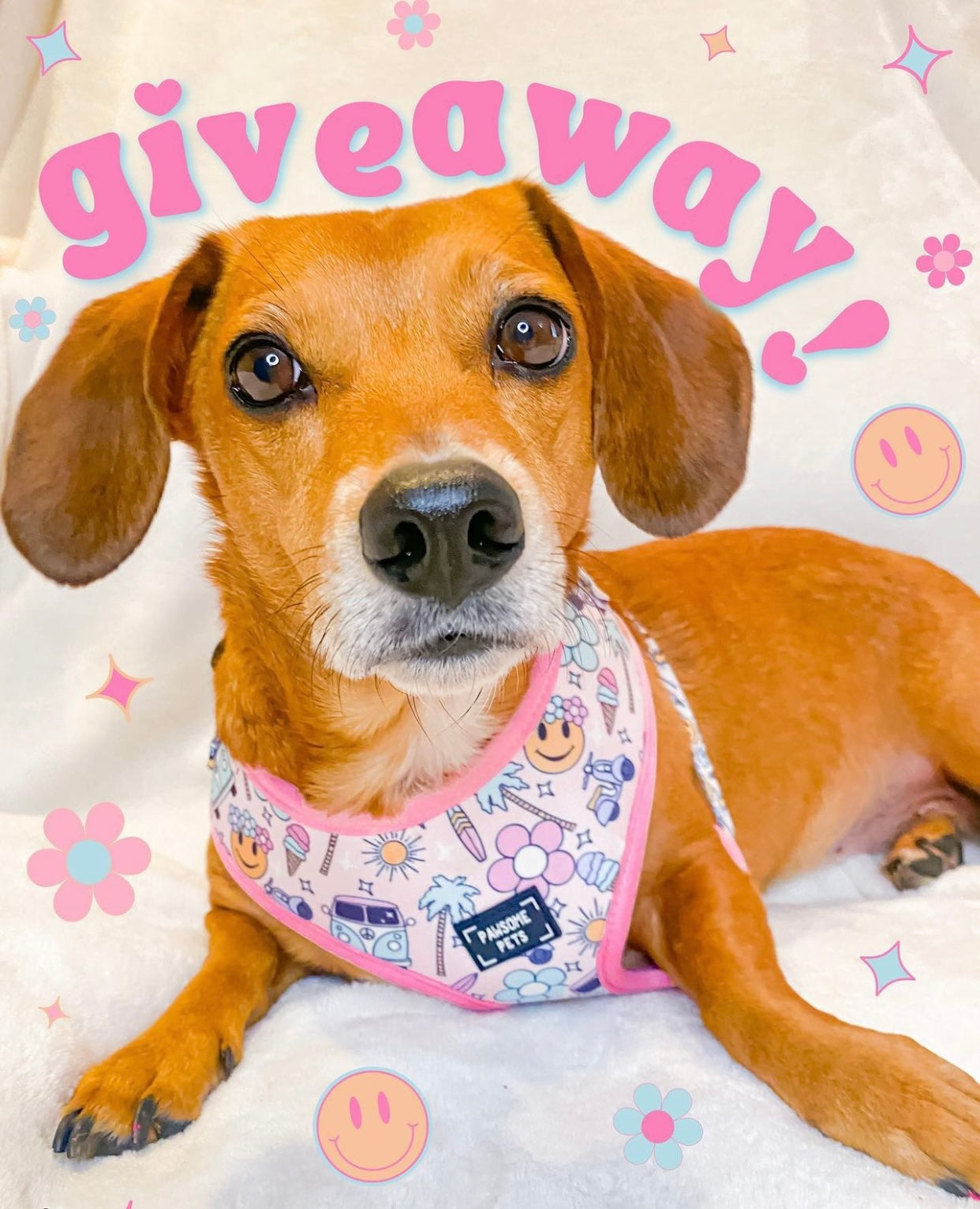 SunnyNest™ Adjustable Pet Harness – Smile Everyday Edition
