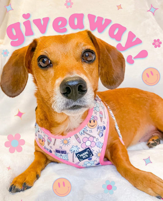 SunnyNest™ Adjustable Pet Harness – Smile Everyday Edition
