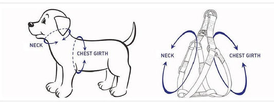 SunnyNest™ Step-In Harness Bundle – Rainbow 5-Piece Set